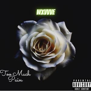 Too Much Pain (Explicit)