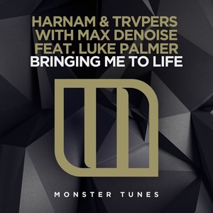 Bringing Me To Life (Original Mix)