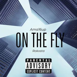 ON THE FLY (feat. Rokxsta) [Explicit]