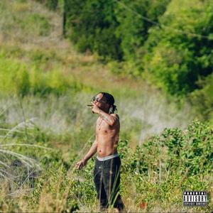 Seedless (feat. Jahn Dough) (Explicit)