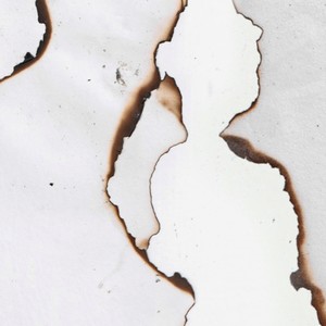 Chapter 8: EVANGHELIA