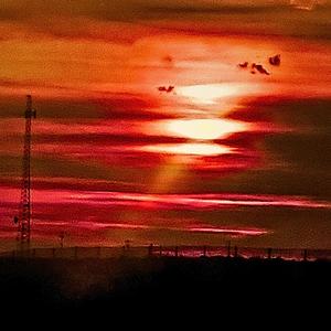 Smoke Trails (feat. ColSeth) (Explicit)