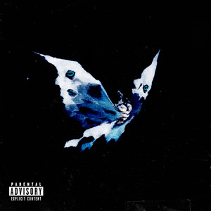 Schmetterling (Explicit)