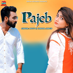 Pajeb - Single