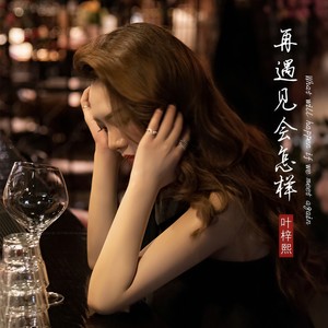 叶梓熙 - 再遇见会怎样 (伴奏)