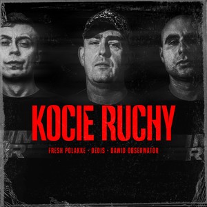 Kocie Ruchy