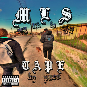 Tipo Plug (Explicit)