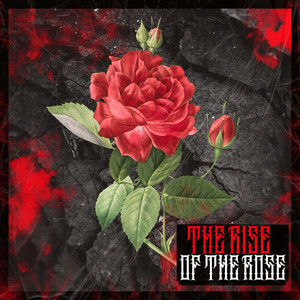 The Rise of The Rose (Explicit)