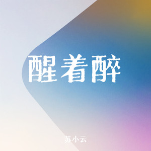 醒着醉 (我遇见你却没能把你留住)