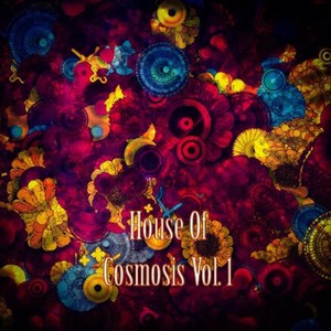 House of Cosmosis, Vol. 1