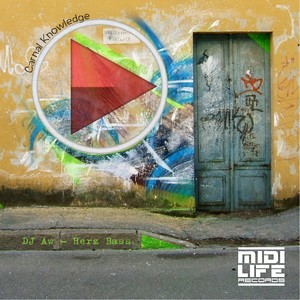 Vibrate (Original Mix)