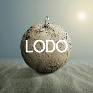 Lodo