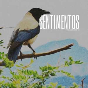 Sentimentos (Explicit)