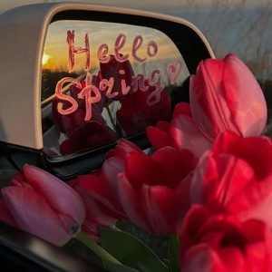 红豆 (翻奏: 方大同)