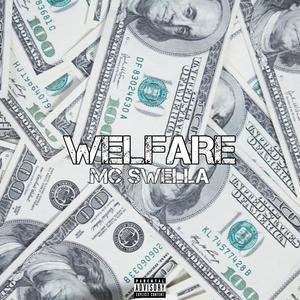 Welfare (Explicit)