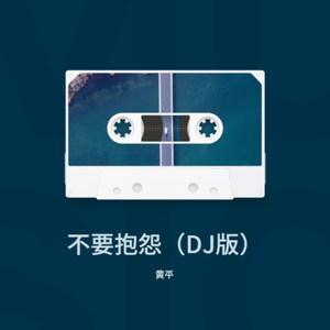 不要抱怨 (DJ彭锐版)
