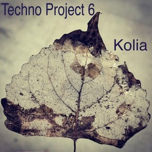 Techno Project 6