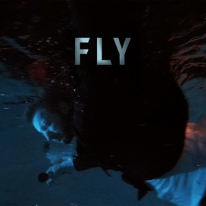 Fly