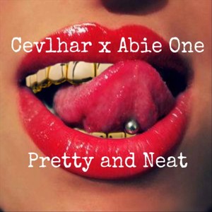 Pretty and Neat (Explicit)