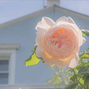 请你不要变 (Demo)