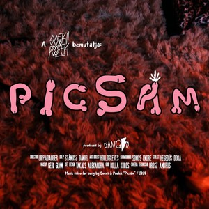 Picsám (Explicit)