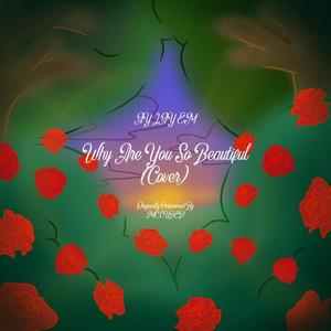 Why Are You So Beautiful (Remix/Cover)