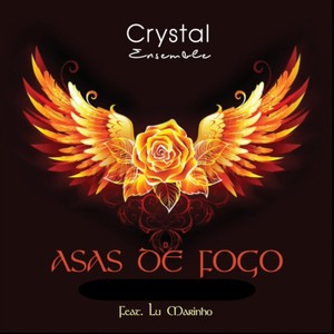 Asas de Fogo