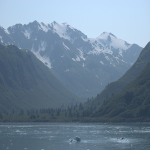 The Hiking Path