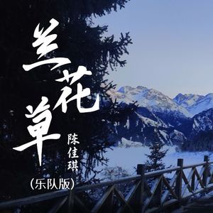 兰花草 (乐队版)