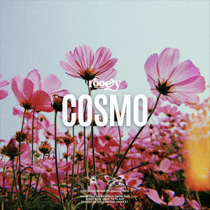 Cosmo