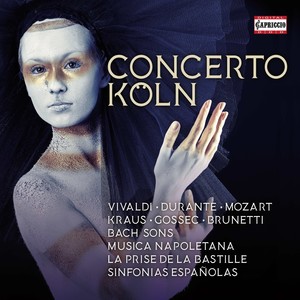 Chamber Concerto in D Minor, RV 566 - III. Allegro