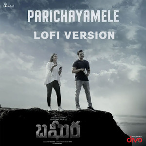Parichayamele - Lofi Version