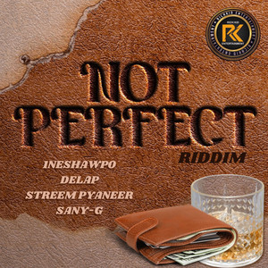 Not Perfect Riddim (Explicit)