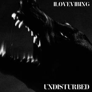 UNDISTURBED (Explicit)