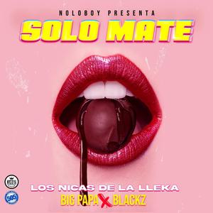 Solo Mate (Explicit)