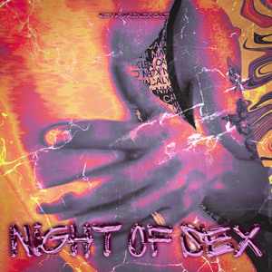 Night Of Sex