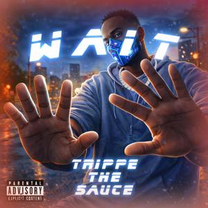 Wait (Explicit)