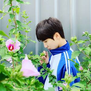 奇妙关系 (Single Version)