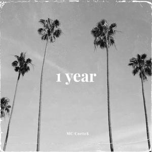 1 Year (Explicit)