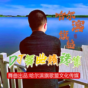 哈尔滨DJ旗总音乐工作室 - 周蕙-冬季到台北来看雨(哈尔滨DJ旗总ElectroRemix2023独家版)
