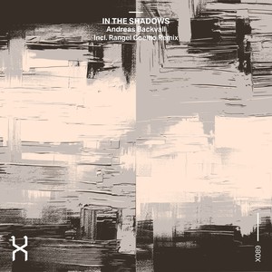 In the Shadows (Rangel Coelho Remix)