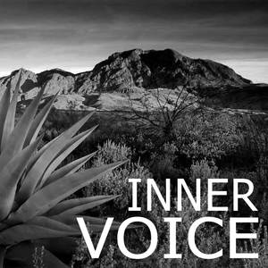 Inner Voice (Explicit)