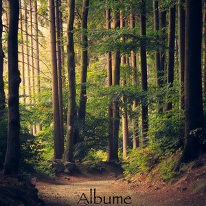 Albume (Explicit)