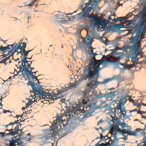 Now That You Have Reached The Sky