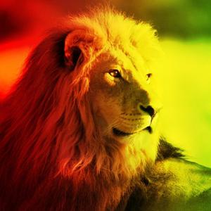 Your Love(feat. Heather Lioness Lindsey)