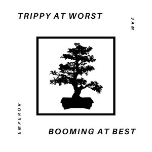 Trippy at Worst / Booming at Best