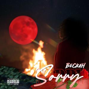 Sorry (feat. Beckah) [Explicit]