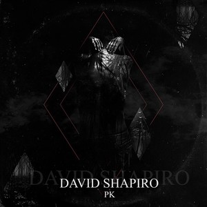 David Shapiro (Explicit)