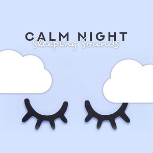 Calm Night Sleeping Sounds: New Age Fresh 2019 Music Perfect for Evening Relaxing, Calming Down, Stress Relief, Good Sleep Melodies