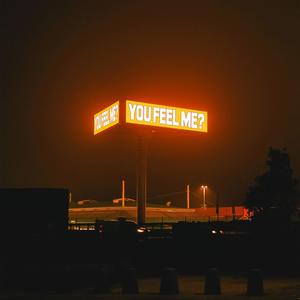 you feel me? (feat. Abdullah Maharvi & Rithmetic)